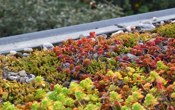 the cost of Artikelly green roof installation