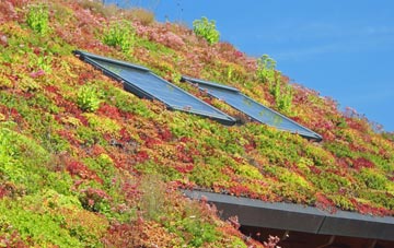 Artikelly living roof systems