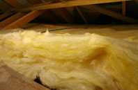 Artikelly pitch roof insulation